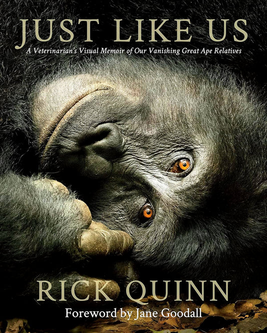 Just Like Us: A Veterinarian’s Visual Memoir of Our Vanishing Great Ape Relatives