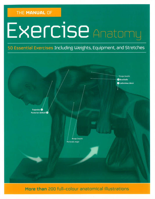 Manual Of Exercise Anatomy   The