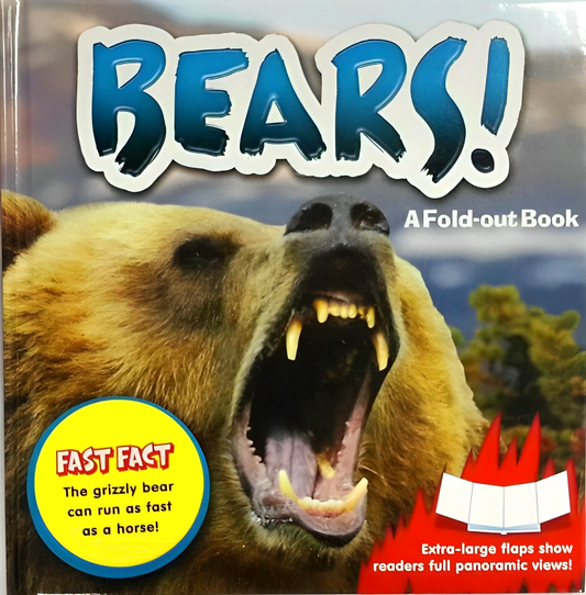 Bears! A Fold-Out Book