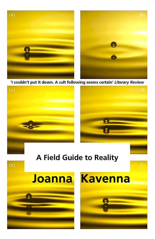 A Field Guide To Reality