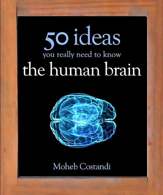 50 Human Brain Ideas You Really Need To Know