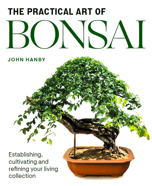 Practical Art of Bonsai: Establishing, cultivating and refining your living collection