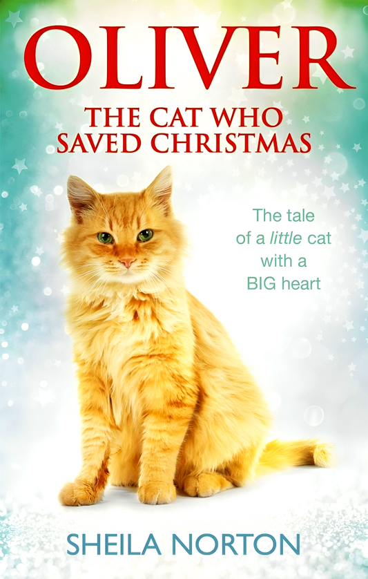 Oliver The Cat Who Saved Christmas