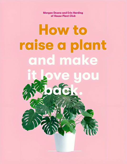 How To Raise A Plant