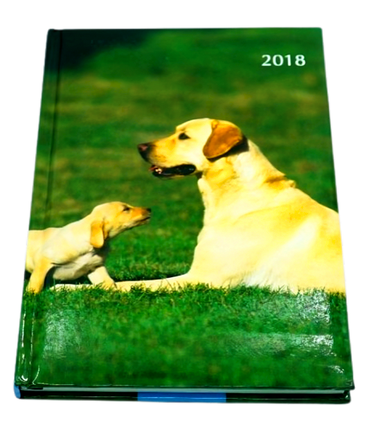 Dogs And Puppies 2018 A5 Padded Diary