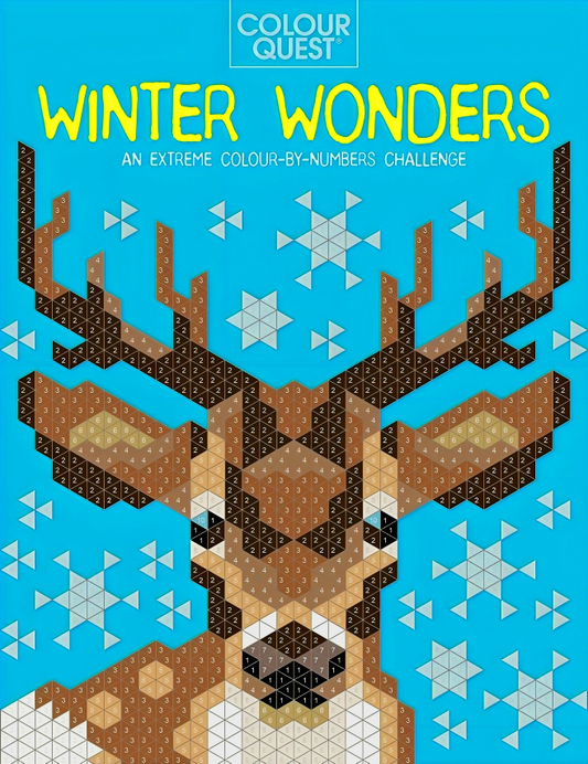 Colour Quest: Winter Wonders