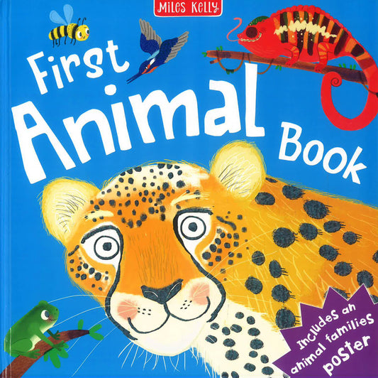 First Animal Book