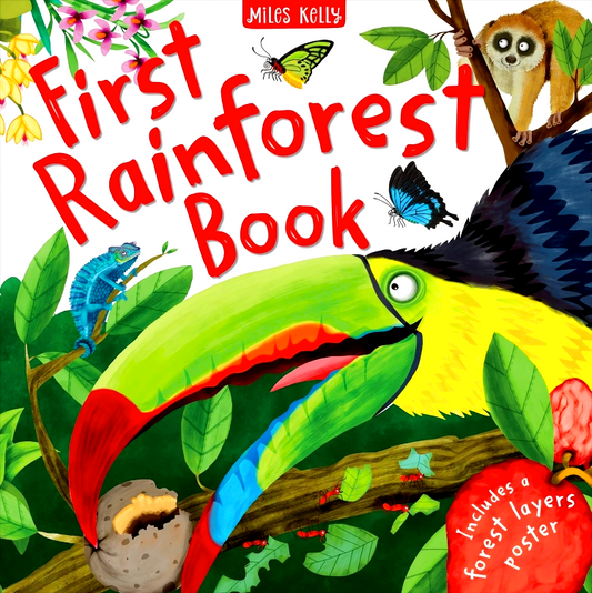 First Rainforest Book