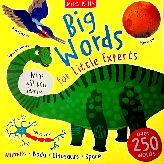 Little Experts Big Words