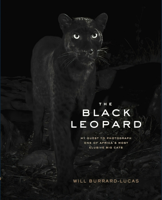 The Black Leopard: My Quest to Photograph One of Africa s Most Elusive Big Cats