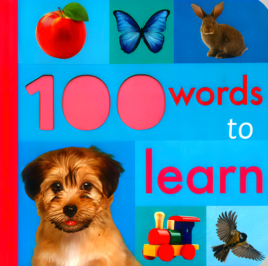 100 Things  To Learn