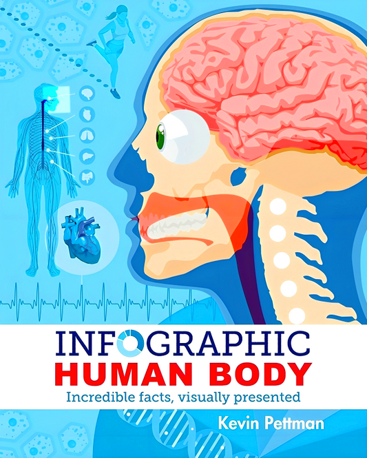 Infographic Human Body