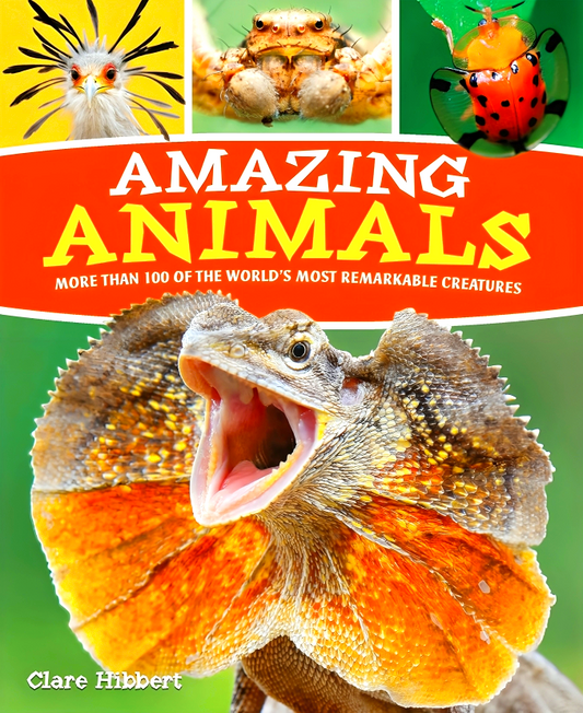 Amazing Animals