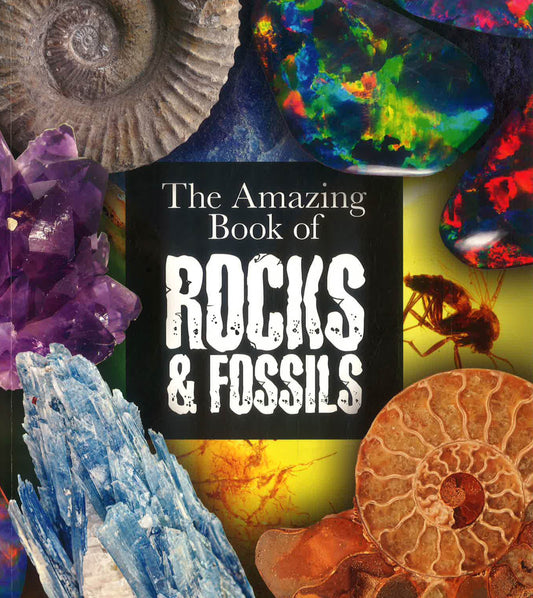 The Amazing Book Of Rocks And Fossils