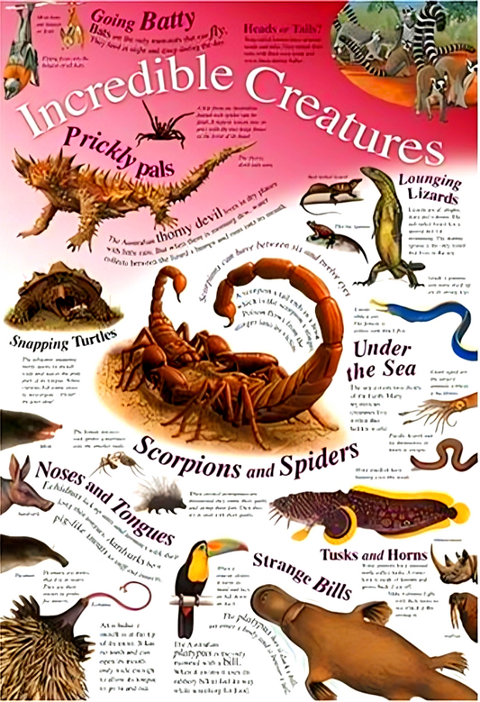 Incredible Creatures (Natural History Wall Chart)