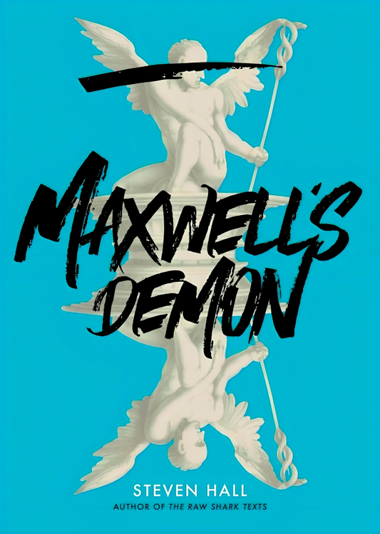 Maxwell's Demon