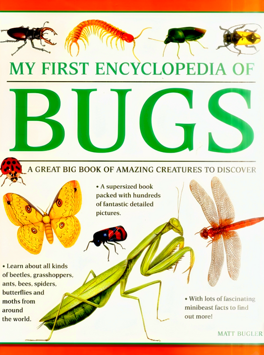 My First Encyclopedia of Bugs (giant Size): A First Encyclopedia with Supersize Pictures