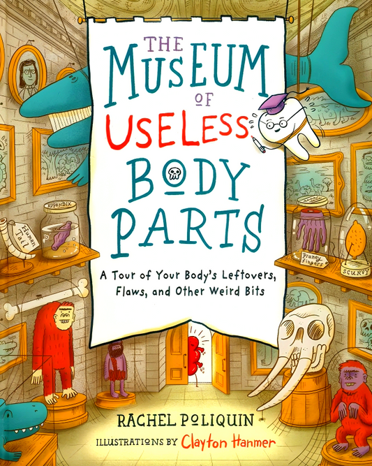 The Museum Of Useless Body Parts