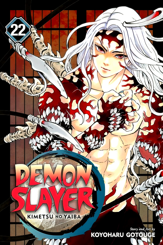 Demon Slayer: Kimetsu No Yaiba, Vol. 22