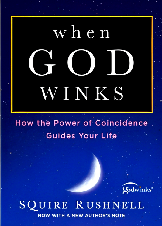 When God Winks: How The Power Of Coincidence Guides Your Life (The Godwink Series)