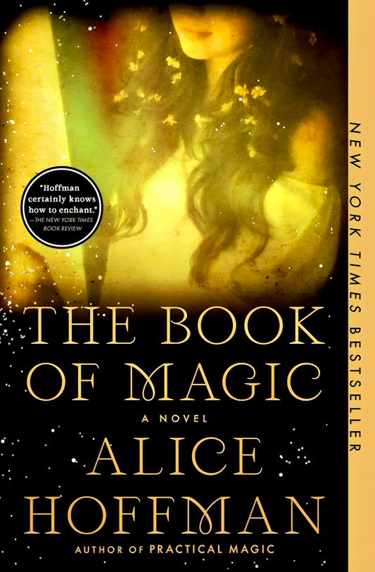 The Practical Magic Series #4: The Book Of Magic