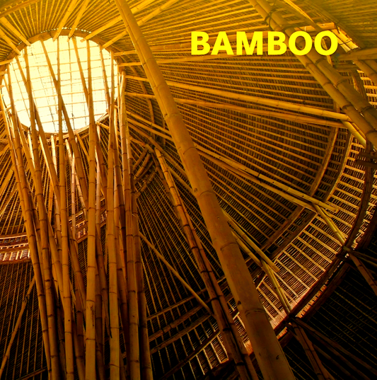 Bamboo (Contemporary Architecture & Interiors)