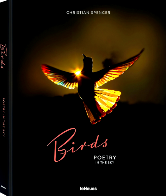 Birds: Poetry In The Sky