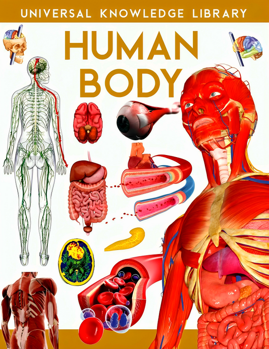 Universal Knowledge Library: Human Body