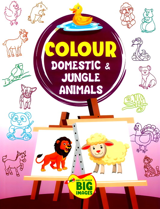 Colour: Domestic & Jungle Animals