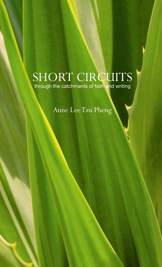 Short Circuits