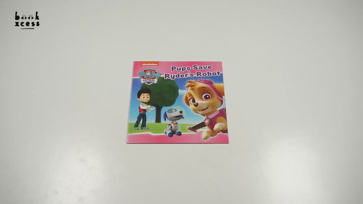 Order a personalised video from PAW Patrol Ryder