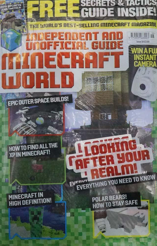 Minecraft World