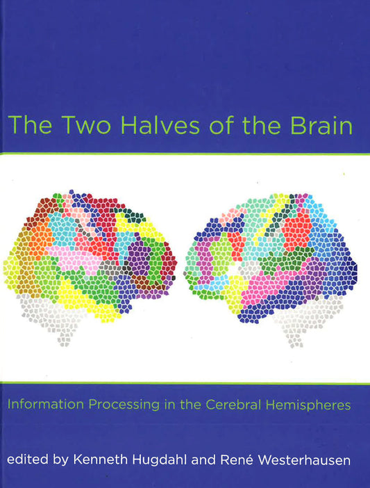 The Two Halves Of The Brain: Information Processing In The Cerebral Hemispheres