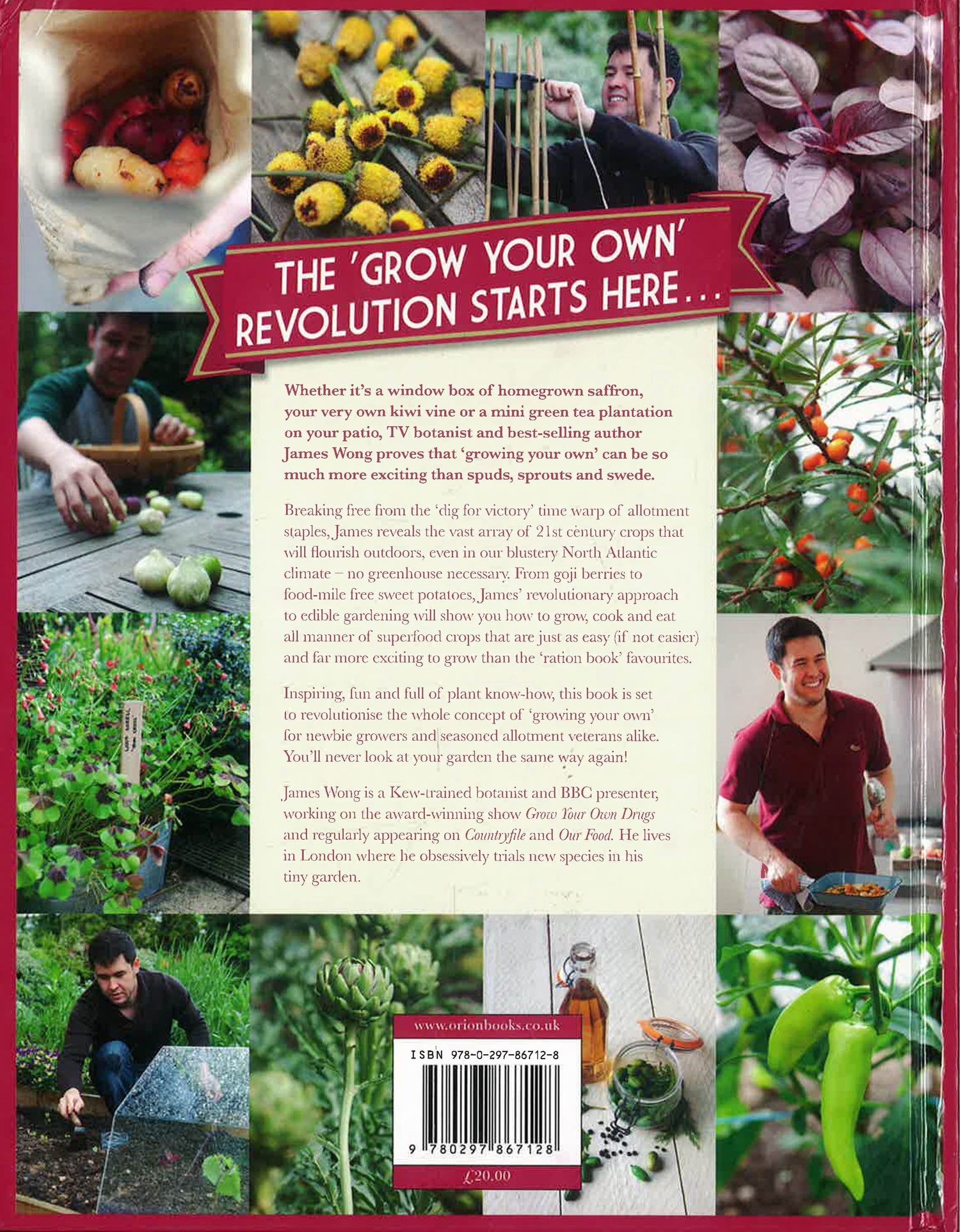 James Wongs Homegrown Revolution Bookxcess 8853