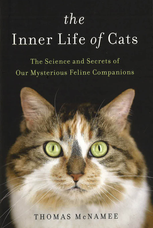 The Inner Life Of Cats