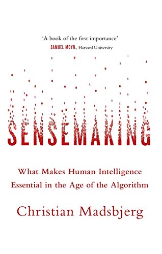 Sensemaking