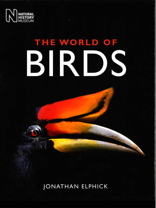 The World Of Birds