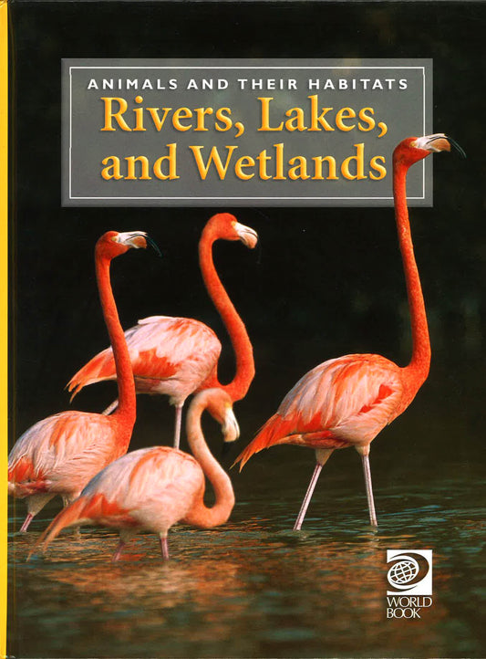 Animals And Their Habitats- Rivers, Lakes, And Wetlands