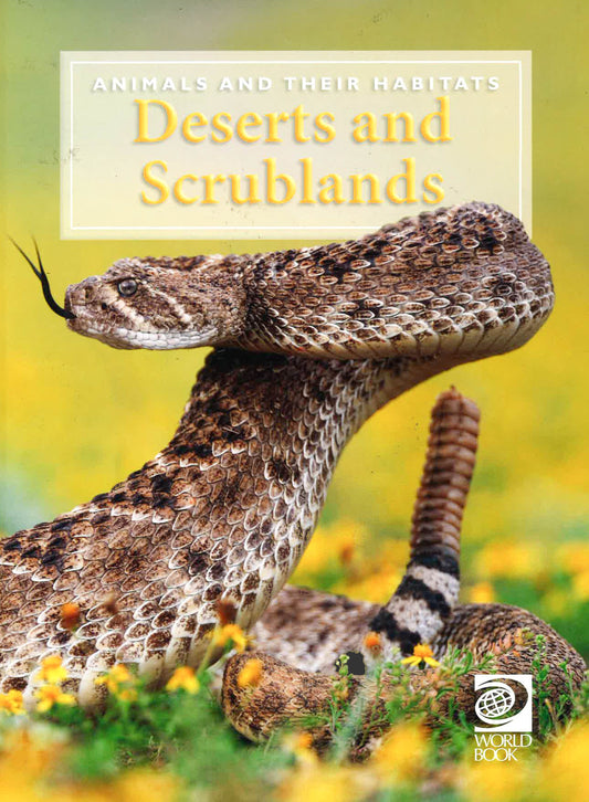 Deserts And Scrublands