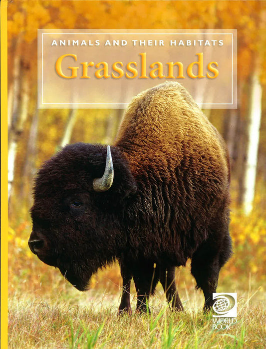 Animals And Their Habitats: Grasslands