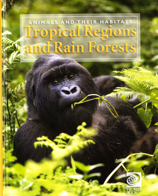 Animals And Their Habitats: Tropical Regions And Rain Forests