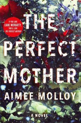 The Perfect Mother : A Gripping Thriller With A Nail-Biting Twist