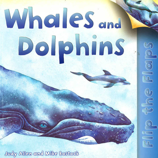 Whales And Dolphins