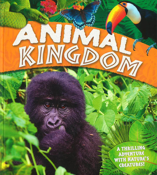 Animal Kngdom