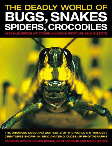 The Deadly World Of Bugs, Snakes, Spiders, Crocodiles And Hundreds Of Other Amazing Reptiles And Insects