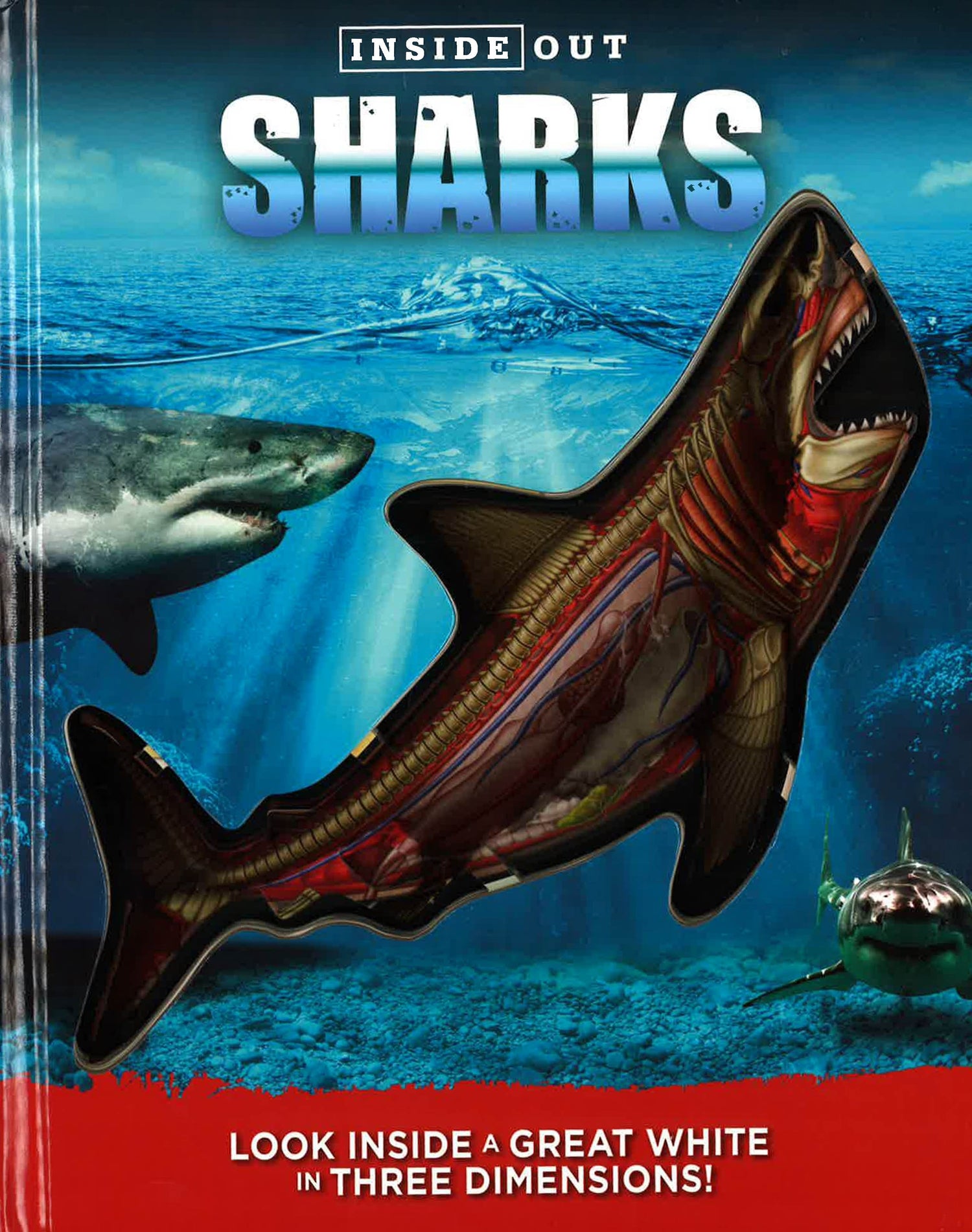 Inside Out Sharks – BookXcess