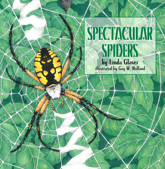 Spectacular Spiders