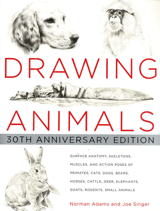 Drawing Animals