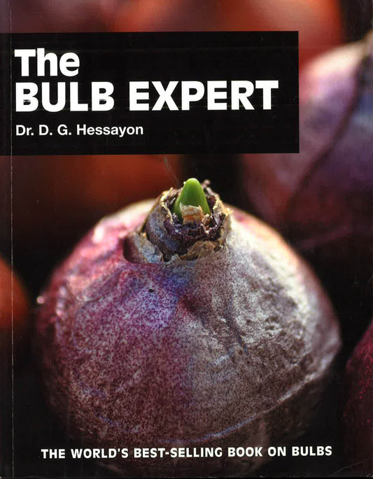 The Bulb Expert