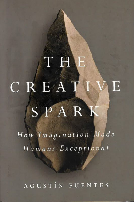 Creative Spark